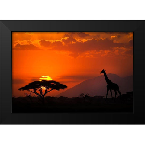 Kenya-Amboseli National Park Abstract sunset with giraffe and acacia tree silhouettes Black Modern Wood Framed Art Print by Jaynes Gallery