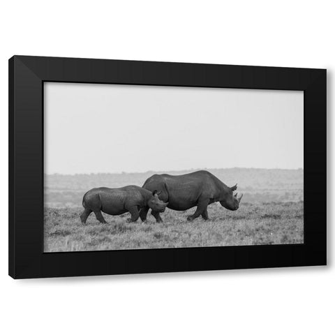 Africa-Kenya-Serengeti-Maasai Mara-Black rhinoceros-Critically endangered Black Modern Wood Framed Art Print by Hopkins, Cindy Miller