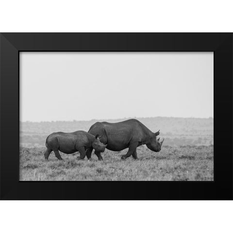 Africa-Kenya-Serengeti-Maasai Mara-Black rhinoceros-Critically endangered Black Modern Wood Framed Art Print by Hopkins, Cindy Miller