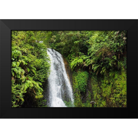 Madagascar-Antsiranana Amber Mountain National Park waterfall Black Modern Wood Framed Art Print by Hogstrom, Inger
