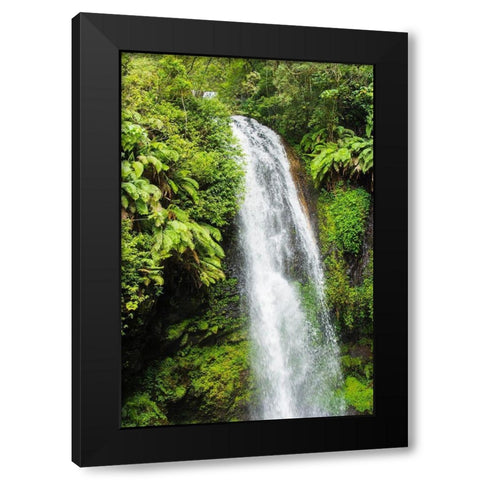 Madagascar-Antsiranana Amber Mountain National Park waterfall Black Modern Wood Framed Art Print by Hogstrom, Inger