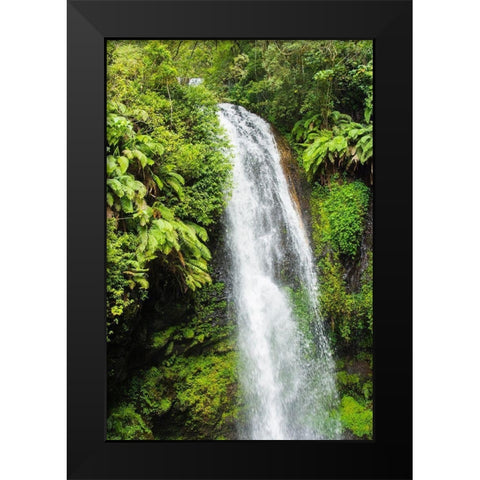 Madagascar-Antsiranana Amber Mountain National Park waterfall Black Modern Wood Framed Art Print by Hogstrom, Inger