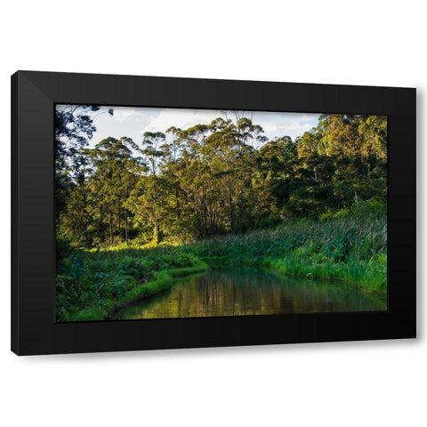 Madagascar-Andasibe-Vakona Lodge-Lemur Island Sunset over the canals that keep the lemurs Black Modern Wood Framed Art Print with Double Matting by Hogstrom, Inger