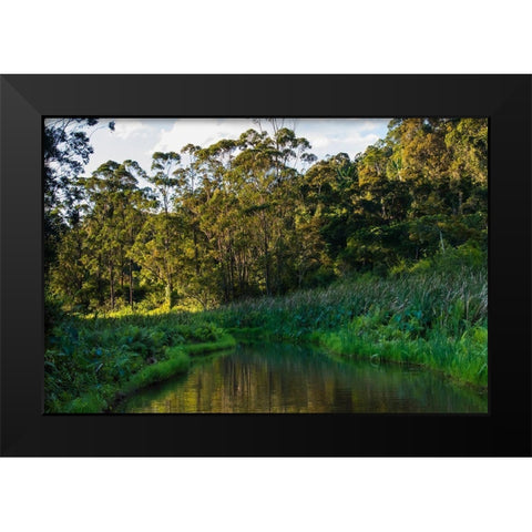Madagascar-Andasibe-Vakona Lodge-Lemur Island Sunset over the canals that keep the lemurs Black Modern Wood Framed Art Print by Hogstrom, Inger