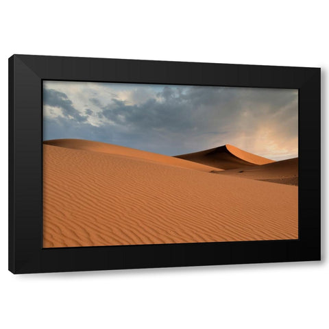 Sand dunes glow orange at sunset in the Sahara Desert. Black Modern Wood Framed Art Print with Double Matting by Sederquist, Betty