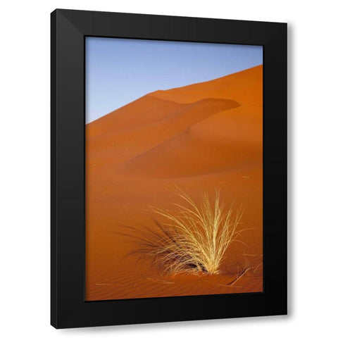 Grass and reddish sand dune, Sossusvlei, Namibia Black Modern Wood Framed Art Print with Double Matting by Kaveney, Wendy