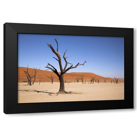 Moon and tree, Dead Vlei, Sossusvlei, Namibia Black Modern Wood Framed Art Print with Double Matting by Kaveney, Wendy
