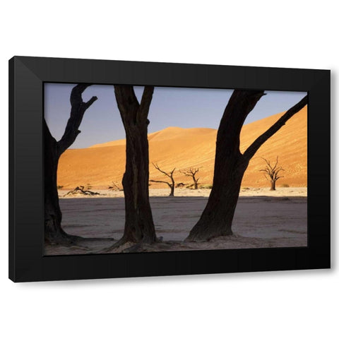 Tree and dunes, Dead Vlei, Sossusvlei, Namibia Black Modern Wood Framed Art Print with Double Matting by Kaveney, Wendy