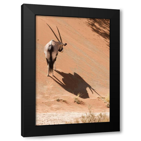 Oryx standing on sand dune, Sossusvlei, Namibia Black Modern Wood Framed Art Print with Double Matting by Kaveney, Wendy
