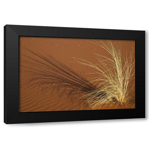 Tuft of grass in the Namib Desert, Namibia Black Modern Wood Framed Art Print by Young, Bill