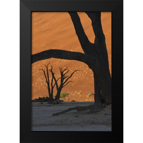 Namibia, Namib Desert Silhouette of lone tree Black Modern Wood Framed Art Print by Kaveney, Wendy