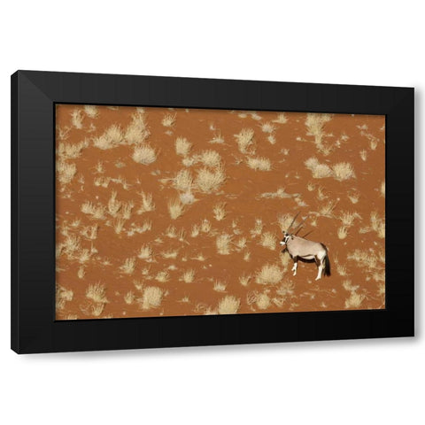 Namibia, Namib-Naukluft , Sossusvlei Lone oryx Black Modern Wood Framed Art Print by Kaveney, Wendy
