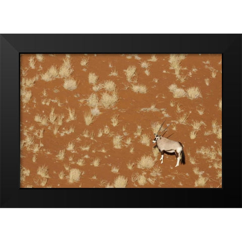 Namibia, Namib-Naukluft , Sossusvlei Lone oryx Black Modern Wood Framed Art Print by Kaveney, Wendy