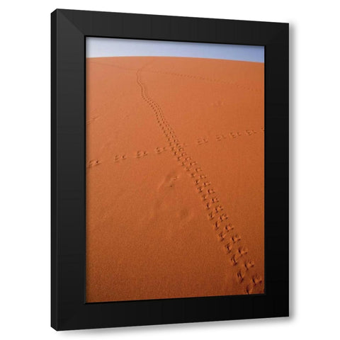 Namibia, Sossusvlei Animal tracks on a sand dune Black Modern Wood Framed Art Print by Kaveney, Wendy