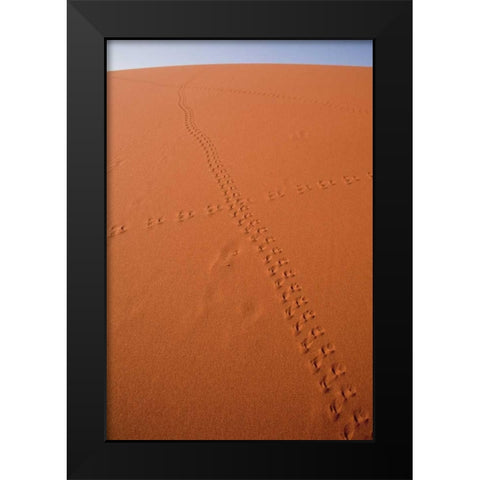 Namibia, Sossusvlei Animal tracks on a sand dune Black Modern Wood Framed Art Print by Kaveney, Wendy