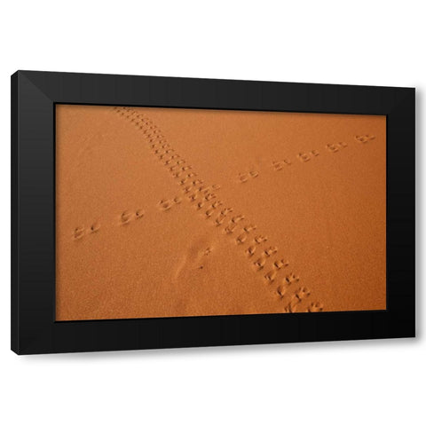 Namibia, Sossusvlei Animal tracks on a sand dune Black Modern Wood Framed Art Print by Kaveney, Wendy