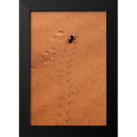 Namibia, Sossusvlei A beetle makes tracks Black Modern Wood Framed Art Print by Kaveney, Wendy