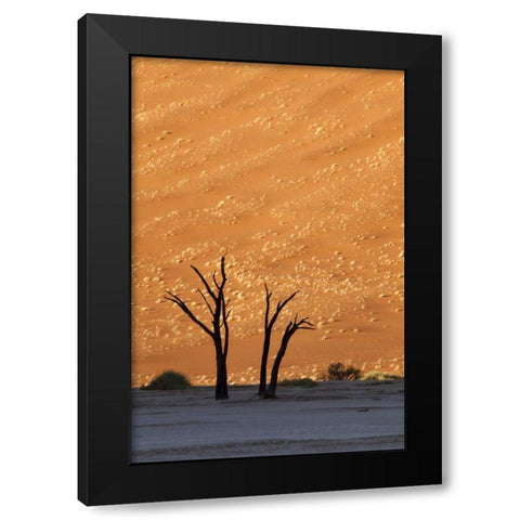 Namibia, Sossusvlei Dead trees with sand dune Black Modern Wood Framed Art Print by Kaveney, Wendy