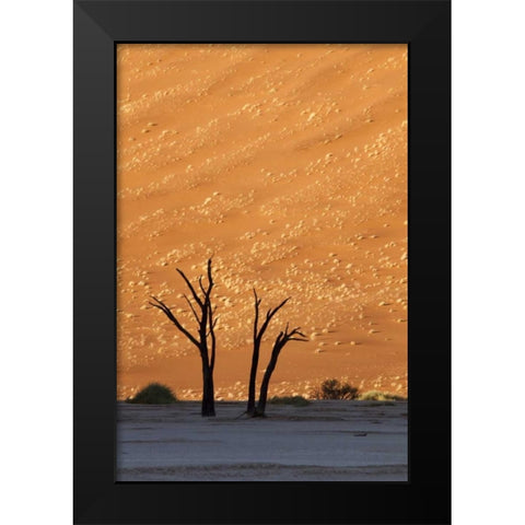 Namibia, Sossusvlei Dead trees with sand dune Black Modern Wood Framed Art Print by Kaveney, Wendy
