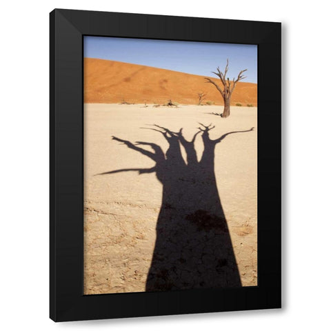 Namibia, Sossusvlei Dead tree casts shadow Black Modern Wood Framed Art Print with Double Matting by Kaveney, Wendy