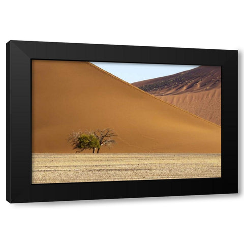 Namibia, Sossusvlei Contrasting sand dunes Black Modern Wood Framed Art Print with Double Matting by Kaveney, Wendy
