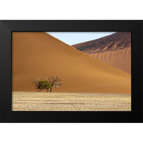 Namibia, Sossusvlei Contrasting sand dunes Black Modern Wood Framed Art Print by Kaveney, Wendy