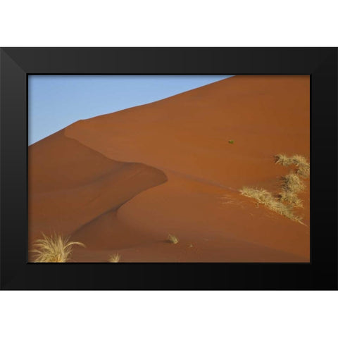 Namibia, Namib Desert, Grasses on sand dune Black Modern Wood Framed Art Print by Young, Bill