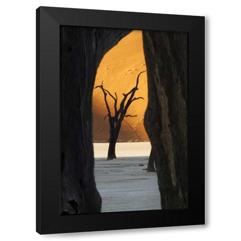 Trees and dunes, Dead Vlei, Sossusvlei, Namibia Black Modern Wood Framed Art Print with Double Matting by Kaveney, Wendy