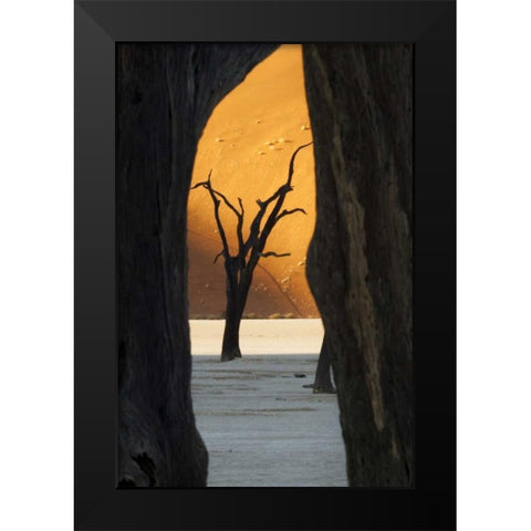 Trees and dunes, Dead Vlei, Sossusvlei, Namibia Black Modern Wood Framed Art Print by Kaveney, Wendy