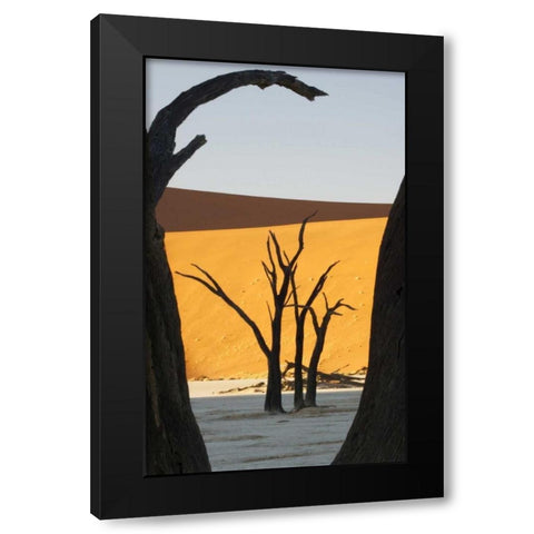 Trees and dunes, Dead Vlei, Sossusvlei, Namibia Black Modern Wood Framed Art Print with Double Matting by Kaveney, Wendy