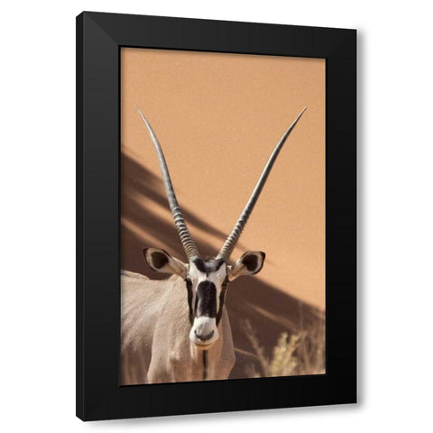 Namibia, Sossusvlei, Namib-Naukluft Park Oryx Black Modern Wood Framed Art Print with Double Matting by Kaveney, Wendy