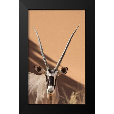 Namibia, Sossusvlei, Namib-Naukluft Park Oryx Black Modern Wood Framed Art Print by Kaveney, Wendy