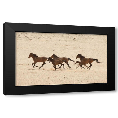 Namibia, Aus Group of running wild horses Black Modern Wood Framed Art Print by Kaveney, Wendy