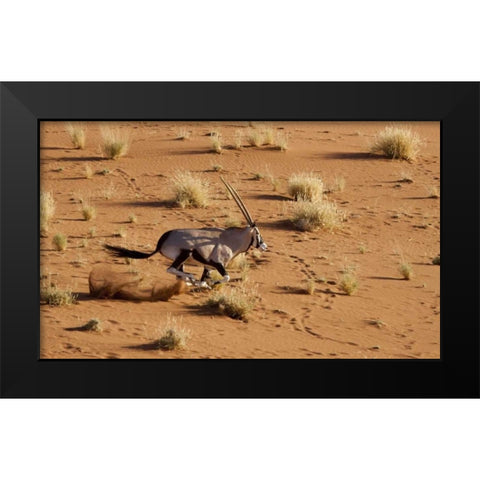 Namibia, Sossusvlei Aerial of running oryx Black Modern Wood Framed Art Print by Kaveney, Wendy