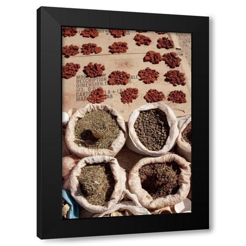 Namibia, Opuwo Fragrant herbs and ochre Black Modern Wood Framed Art Print with Double Matting by Kaveney, Wendy