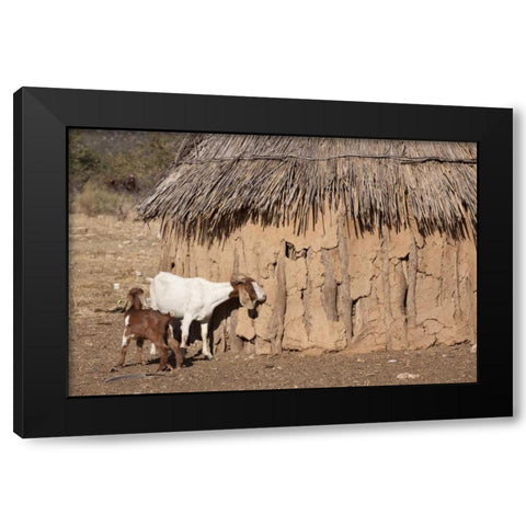 Namibia, Opuwo A pair of goats and Himba mud hut Black Modern Wood Framed Art Print by Kaveney, Wendy