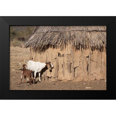 Namibia, Opuwo A pair of goats and Himba mud hut Black Modern Wood Framed Art Print by Kaveney, Wendy