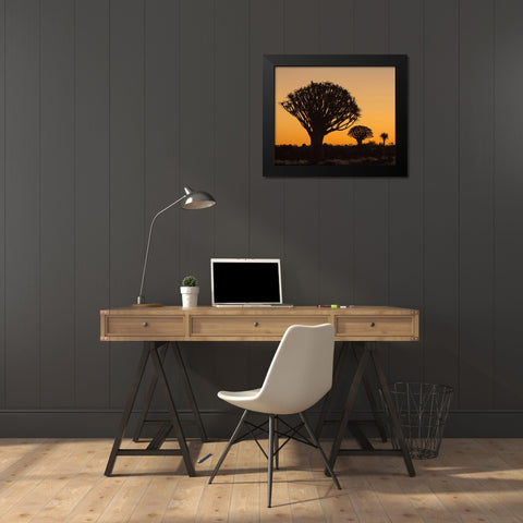 Africa, Namibia Quiver trees at twilight Black Modern Wood Framed Art Print by Kaveney, Wendy