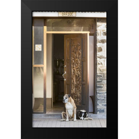 Africa, Namibia Dogs at door entrance Black Modern Wood Framed Art Print by Kaveney, Wendy