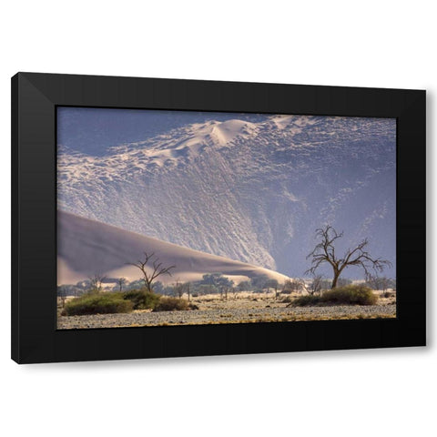 Namibia, Namib-Naukluft Sand dunes and trees Black Modern Wood Framed Art Print by Kaveney, Wendy
