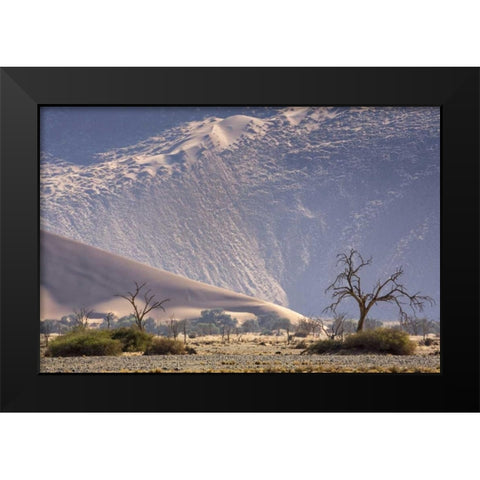 Namibia, Namib-Naukluft Sand dunes and trees Black Modern Wood Framed Art Print by Kaveney, Wendy