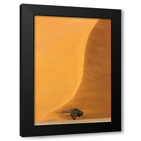 Namibia, Namib-Naukluft Park Sand dune and tree Black Modern Wood Framed Art Print by Kaveney, Wendy