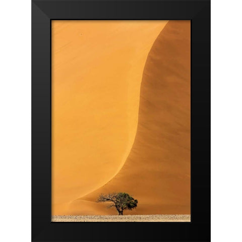 Namibia, Namib-Naukluft Park Sand dune and tree Black Modern Wood Framed Art Print by Kaveney, Wendy