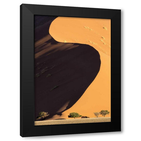 Namibia, Namib-Naukluft Park Sand dune and trees Black Modern Wood Framed Art Print by Kaveney, Wendy