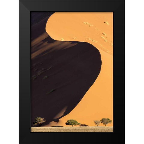 Namibia, Namib-Naukluft Park Sand dune and trees Black Modern Wood Framed Art Print by Kaveney, Wendy