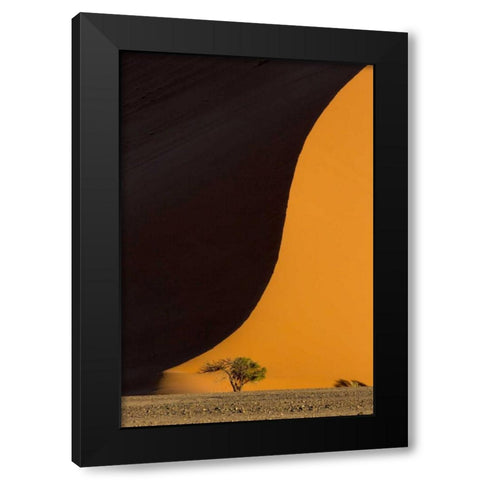 Namibia, Namib-Naukluft Park Sand dune and tree Black Modern Wood Framed Art Print by Kaveney, Wendy
