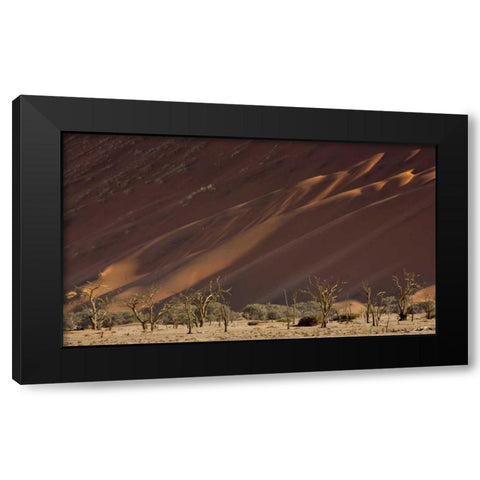 Namibia, Namib-Naukluft Dunes and skeleton trees Black Modern Wood Framed Art Print with Double Matting by Kaveney, Wendy