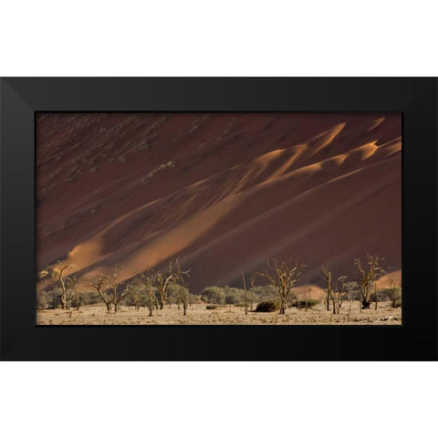 Namibia, Namib-Naukluft Dunes and skeleton trees Black Modern Wood Framed Art Print by Kaveney, Wendy