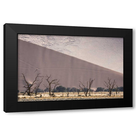 Namibia, Namib-Naukluft Dunes and skeleton trees Black Modern Wood Framed Art Print by Kaveney, Wendy