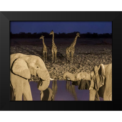 Namibia, Etosha NP Elephants and giraffes Black Modern Wood Framed Art Print by Kaveney, Wendy